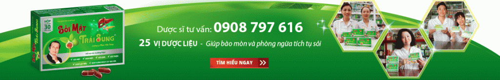 Sỏi Mật Trái Sung