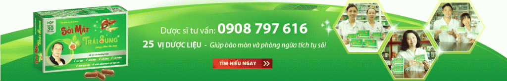 Sỏi Mật Trái Sung