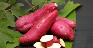 công dụng của khoai lang