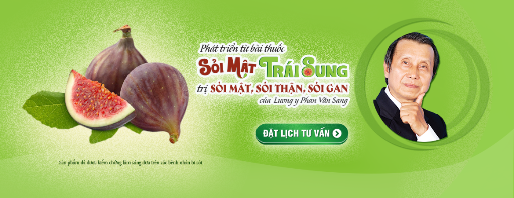 Sỏi Mật Trái Sung