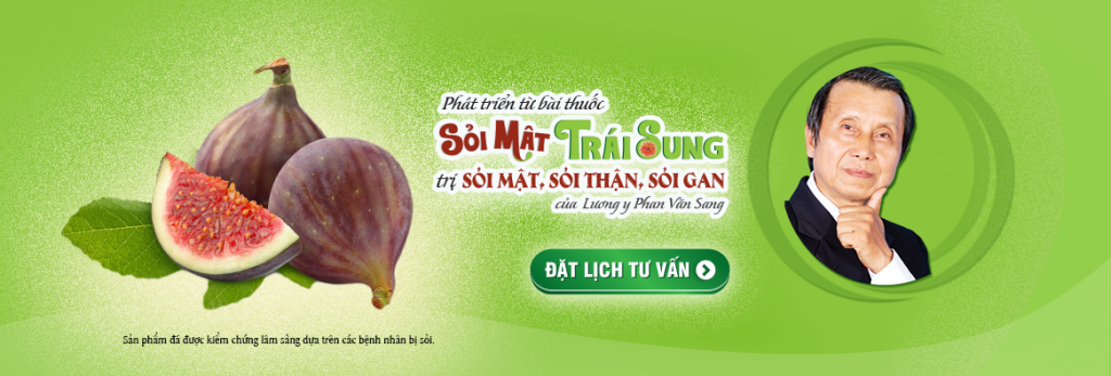Sỏi Mật Trái Sung