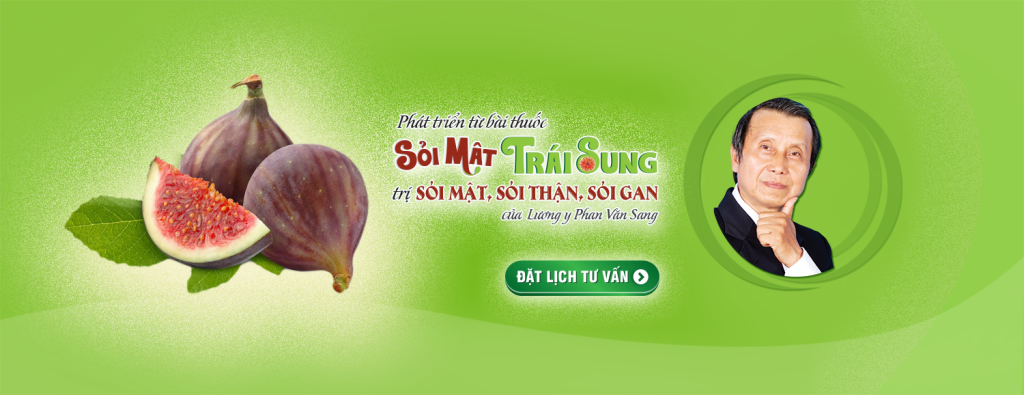 Sỏi Mật Trái Sung