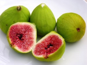 chữa sỏi thận bằng quả sung