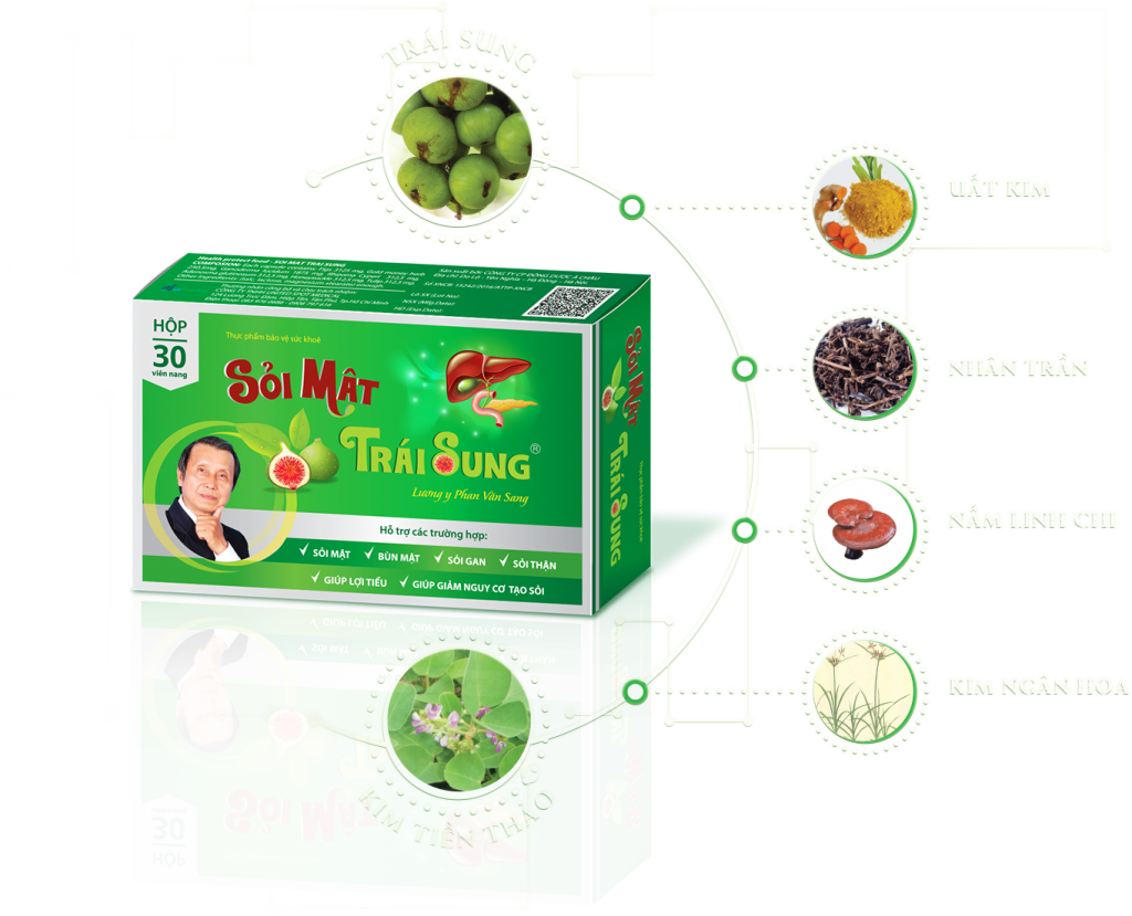 Sỏi Mật Trái Sung