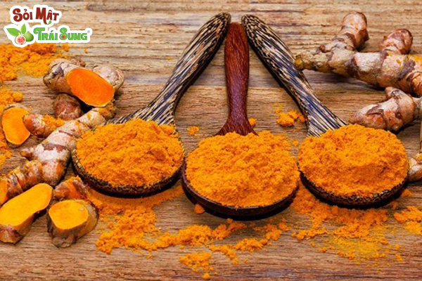 Sỏi Mật Trái Sung