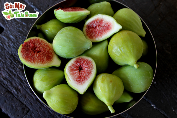 Sỏi Mật Trái Sung