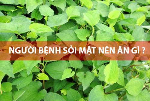 Sỏi Mật Trái Sung