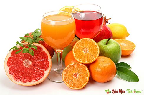 Sỏi Mật Trái Sung