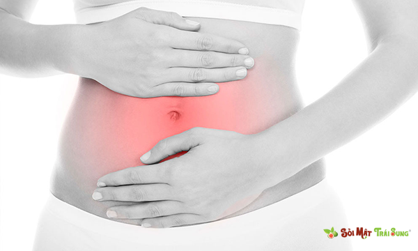 Sỏi Mật Trái Sung