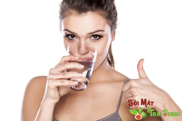 Sỏi Mật Trái Sung