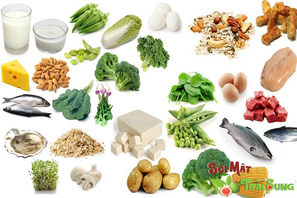 Sỏi Mật Trái Sung