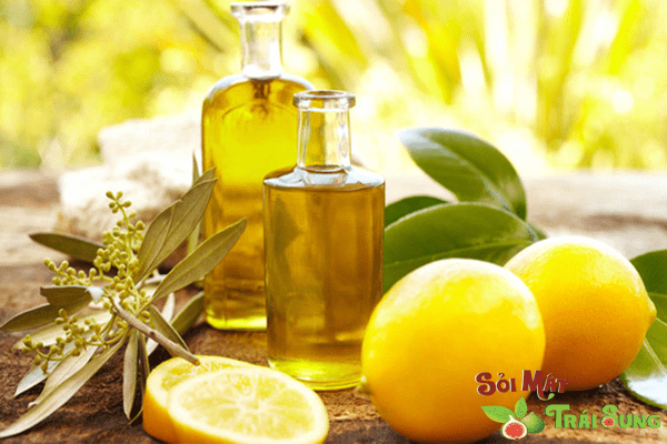 Sỏi Mật Trái Sung