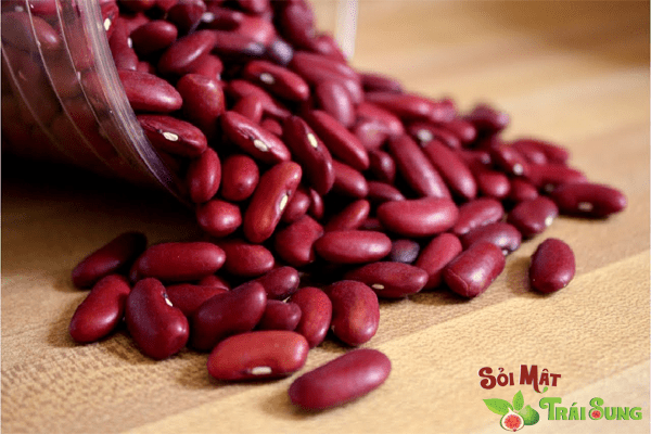 Sỏi Mật Trái Sung