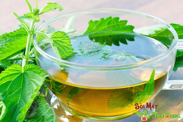 Sỏi Mật Trái Sung