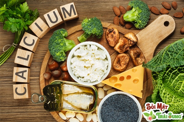 Sỏi Mật Trái Sung