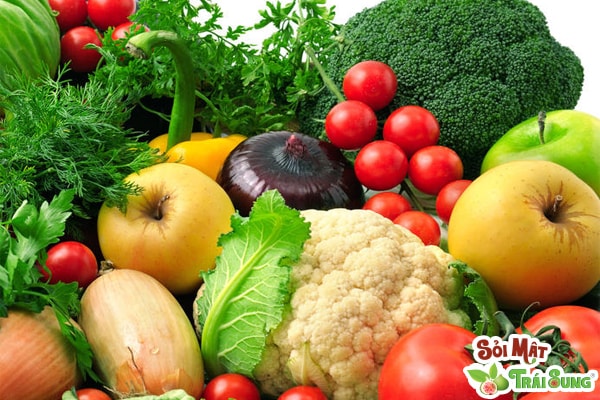 Sỏi Mật Trái Sung