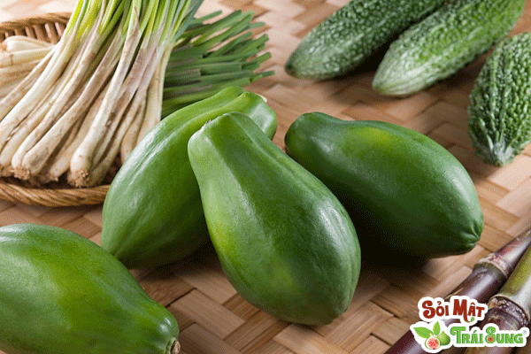 Sỏi Mật Trái Sung