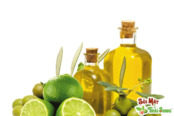 Sỏi Mật Trái Sung