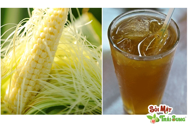 Sỏi Mật Trái Sung