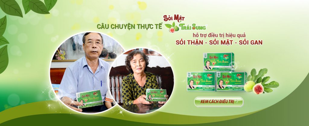 Sỏi Mật Trái Sung