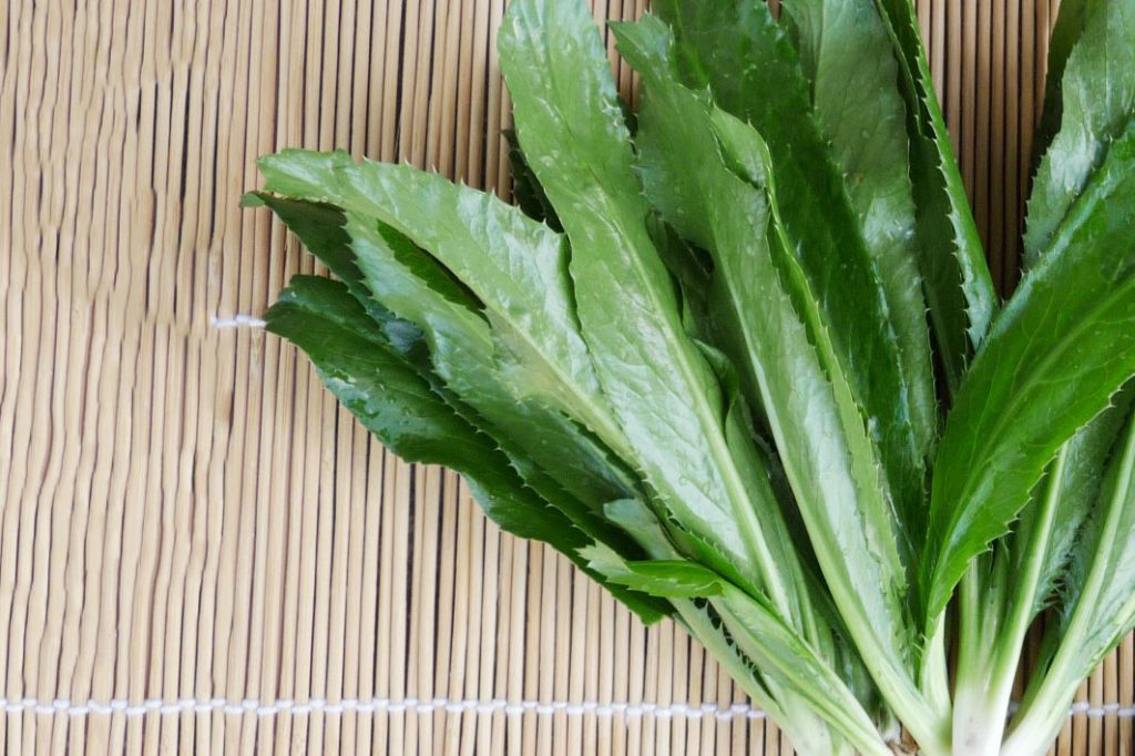 Sỏi Mật Trái Sung