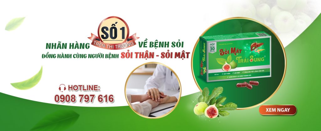 Sỏi Mật Trái Sung