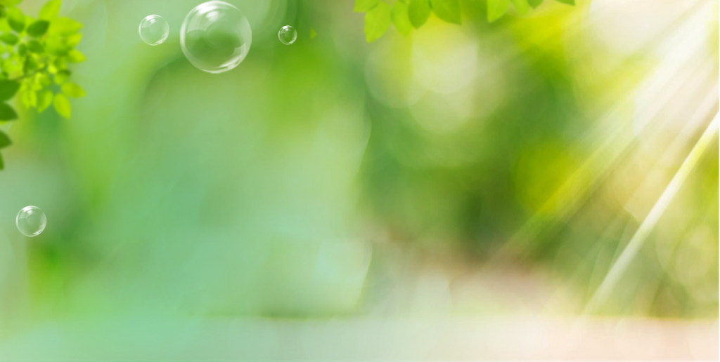 Sỏi Mật Trái Sung