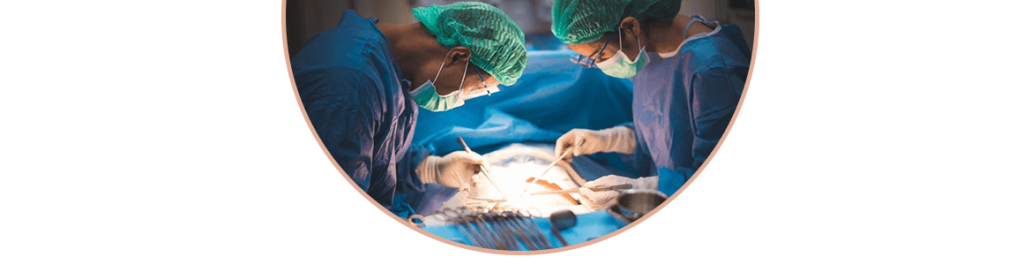 Sỏi Mật Trái Sung