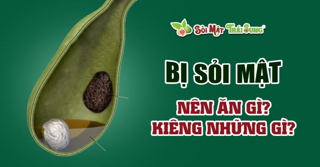 Sỏi Mật Trái Sung
