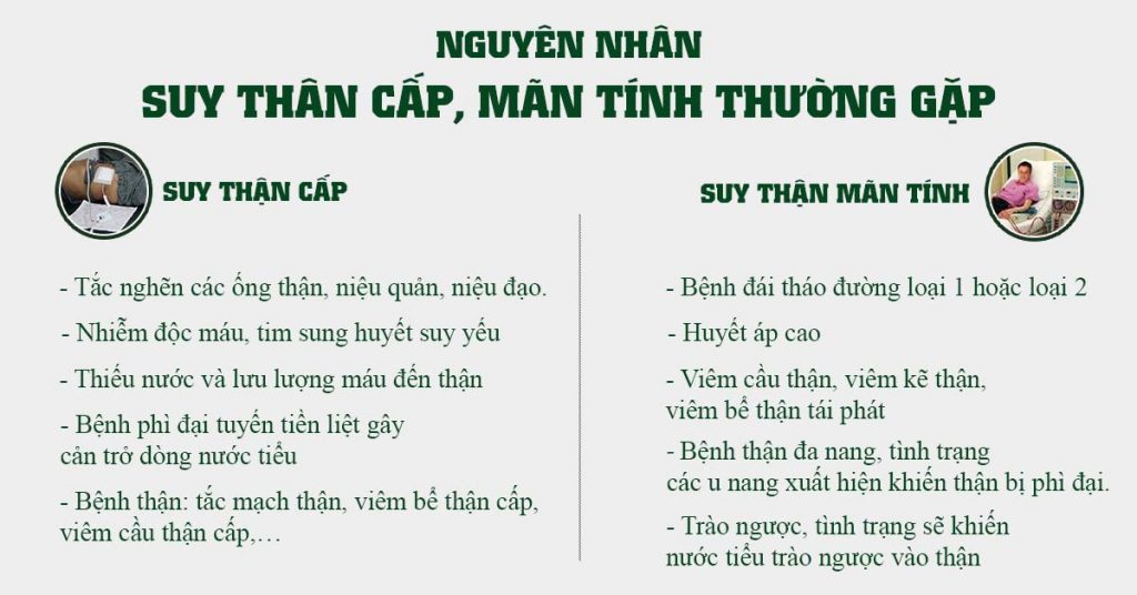 Sỏi Mật Trái Sung