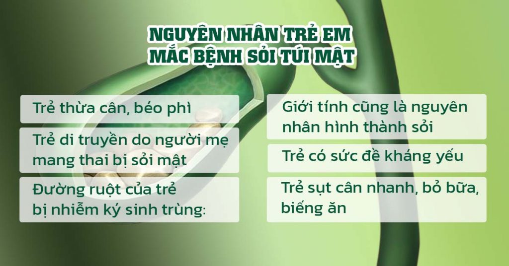 Sỏi Mật Trái Sung
