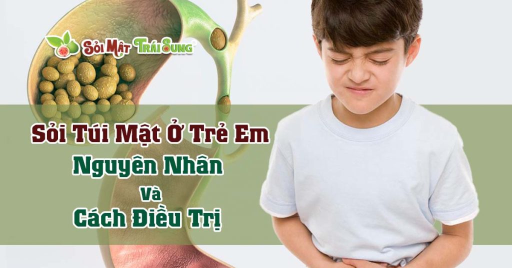 Sỏi Mật Trái Sung