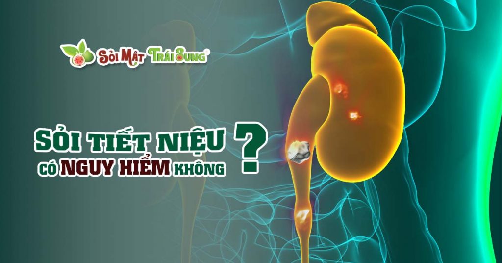 Sỏi Mật Trái Sung