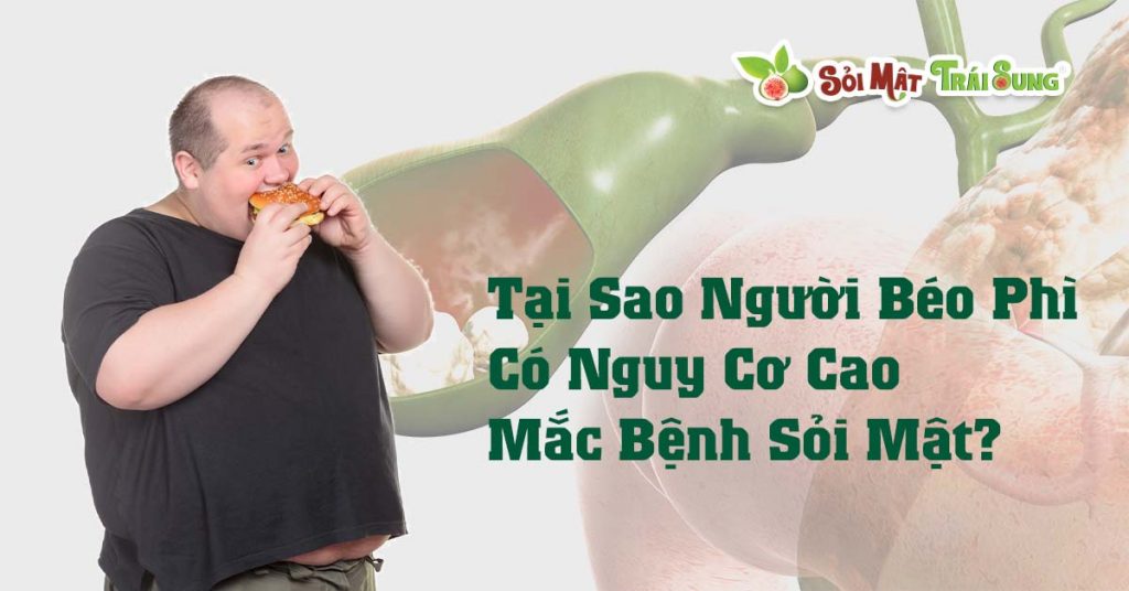 Sỏi Mật Trái Sung