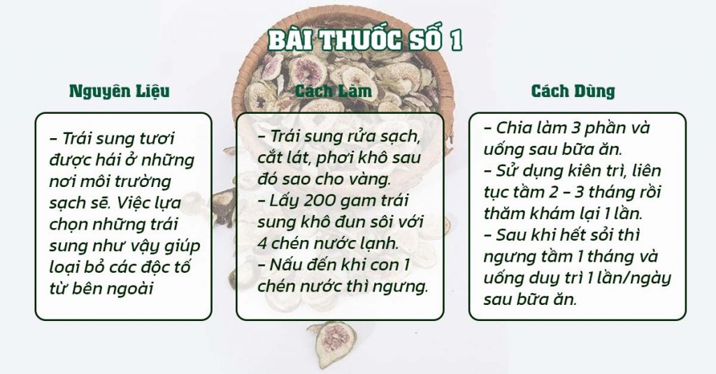 Sỏi Mật Trái Sung