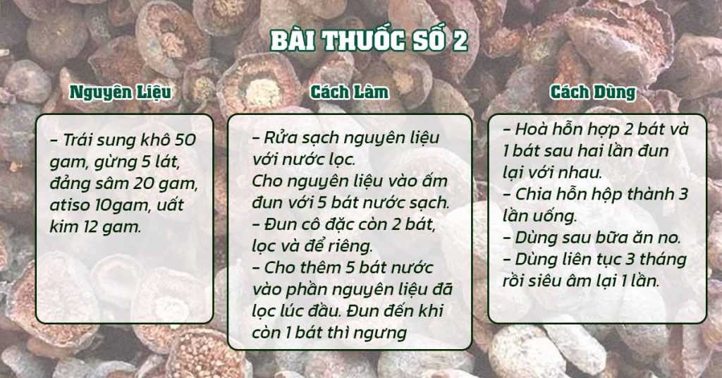 Sỏi Mật Trái Sung