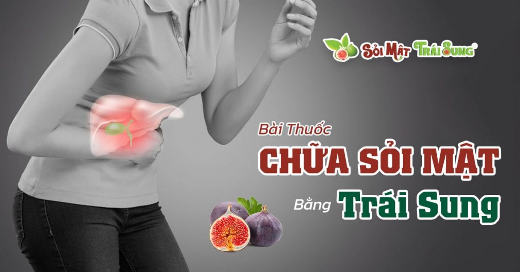 Sỏi Mật Trái Sung