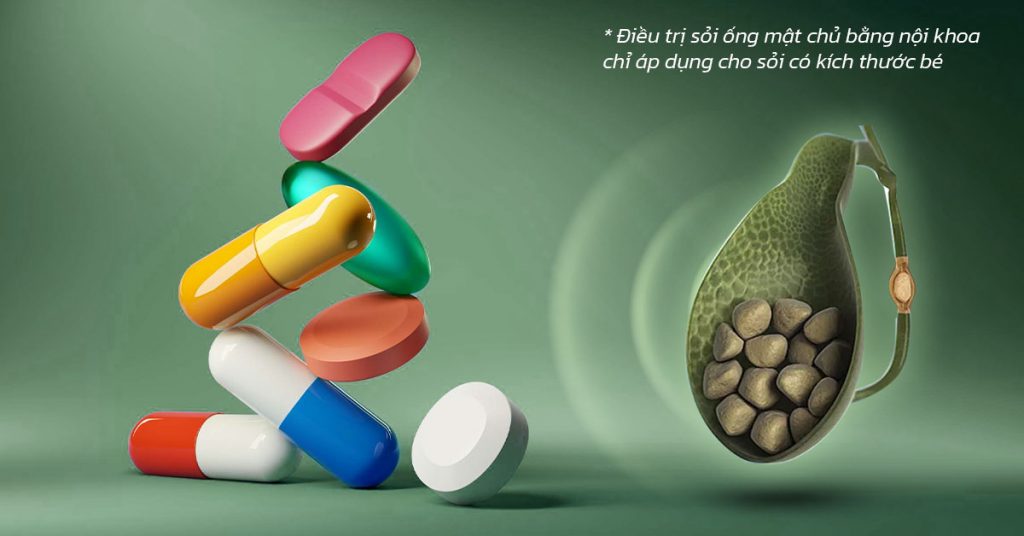 Sỏi Mật Trái Sung