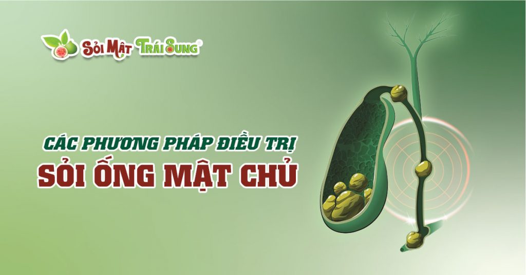 Sỏi Mật Trái Sung
