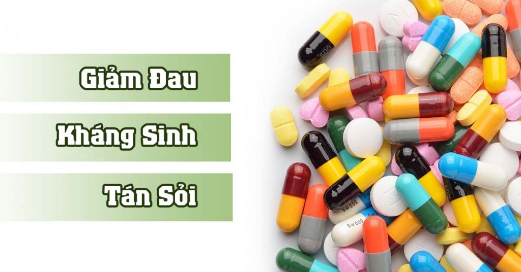 Sỏi Mật Trái Sung