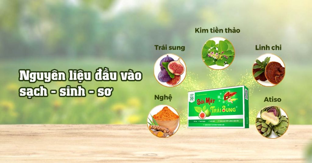 Sỏi Mật Trái Sung