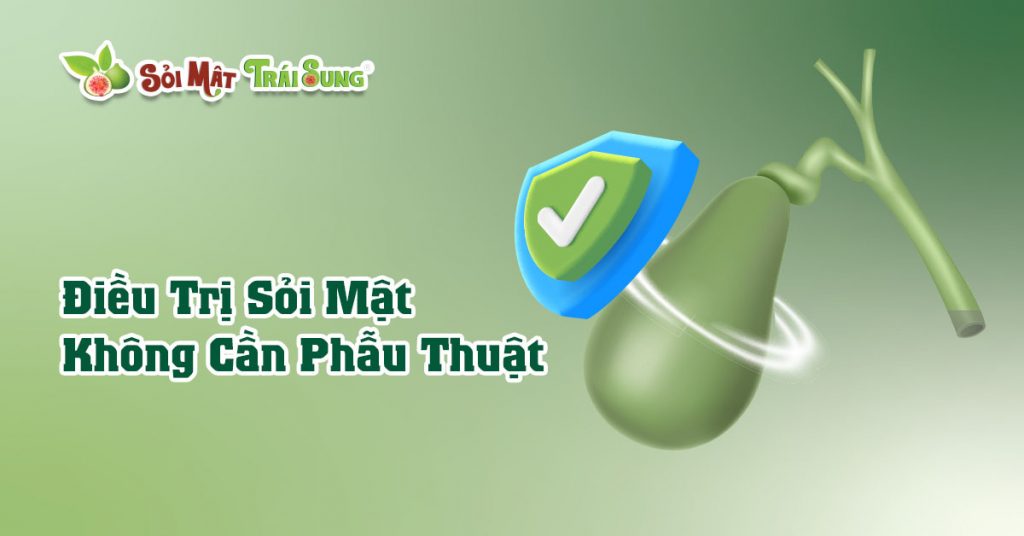 Sỏi Mật Trái Sung