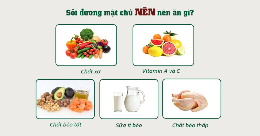Sỏi Mật Trái Sung