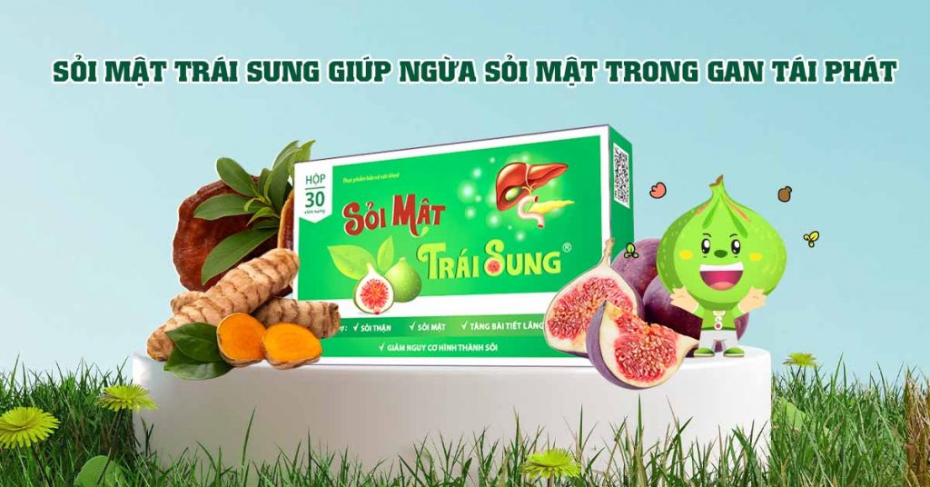 Sỏi Mật Trái Sung