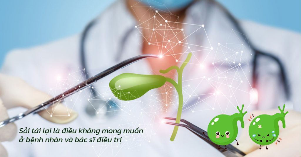Sỏi Mật Trái Sung