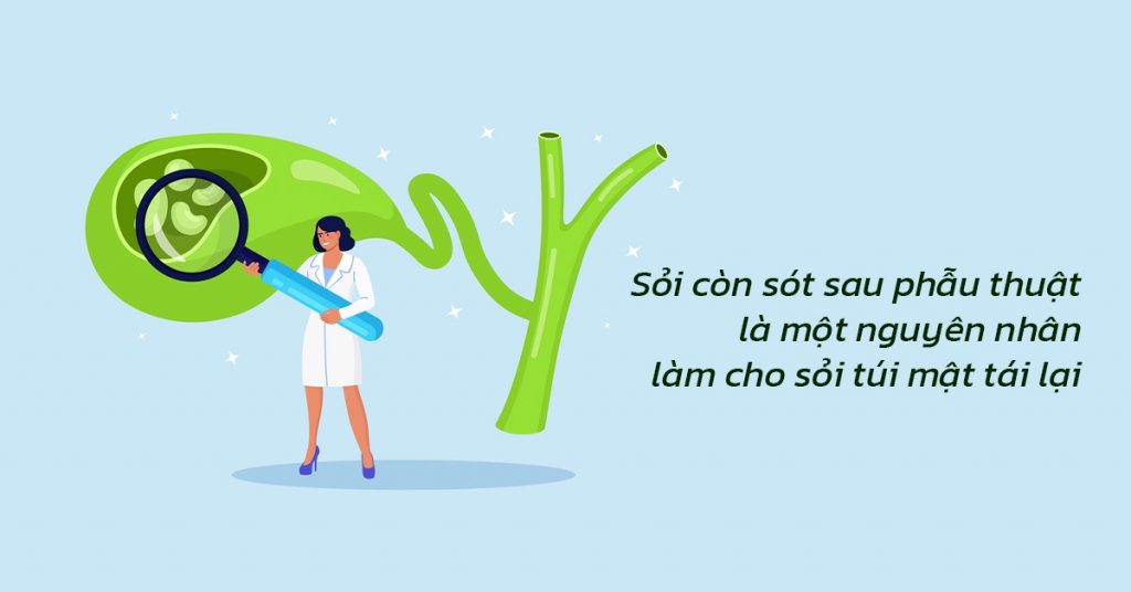 Sỏi Mật Trái Sung