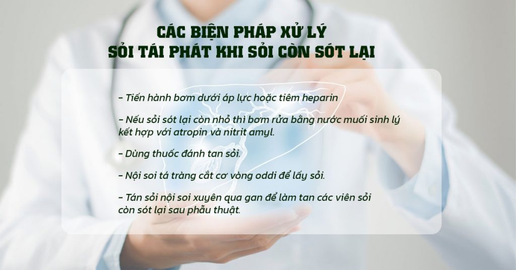 Sỏi Mật Trái Sung