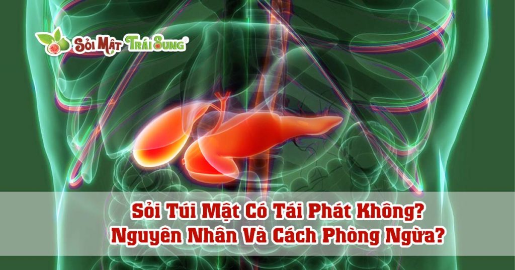 Sỏi Mật Trái Sung