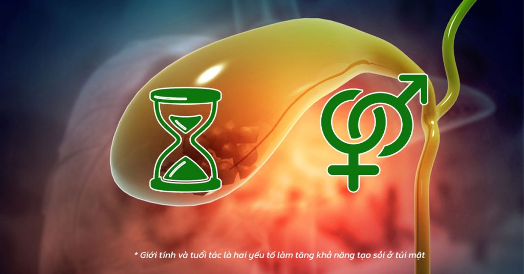Sỏi Mật Trái Sung