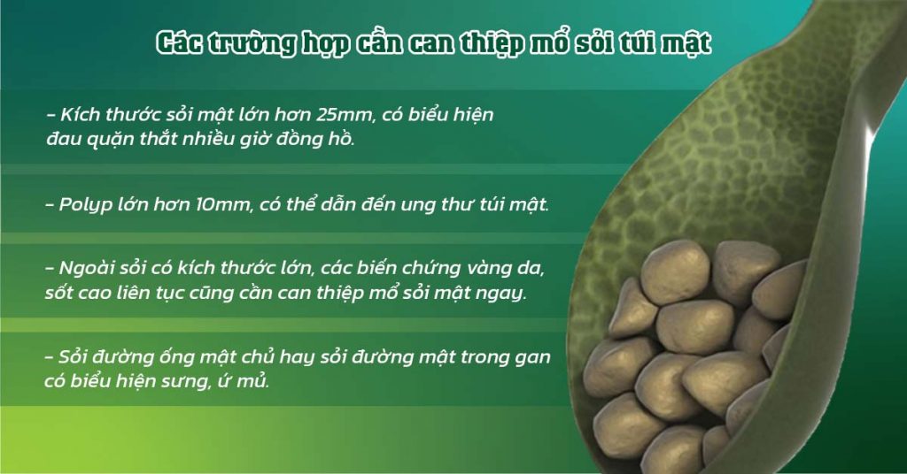 Sỏi Mật Trái Sung